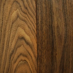 Sàn gỗ tự nhiên MONARCA MSP1018X Royal Walnut