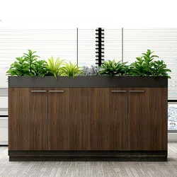 Tủ Tài liệu thấp - kết hợp Kệ trang trí TTT2409-06